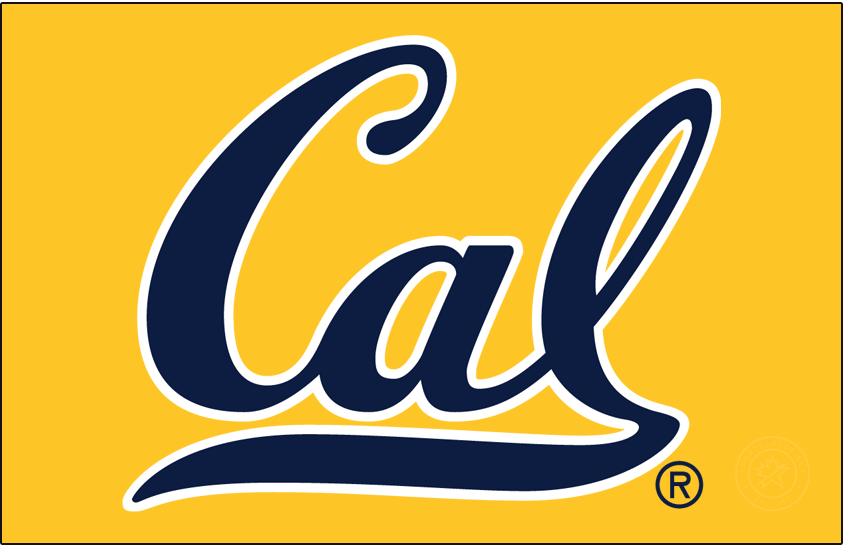 California Golden Bears 2013-2017 Primary Dark Logo diy iron on heat transfer